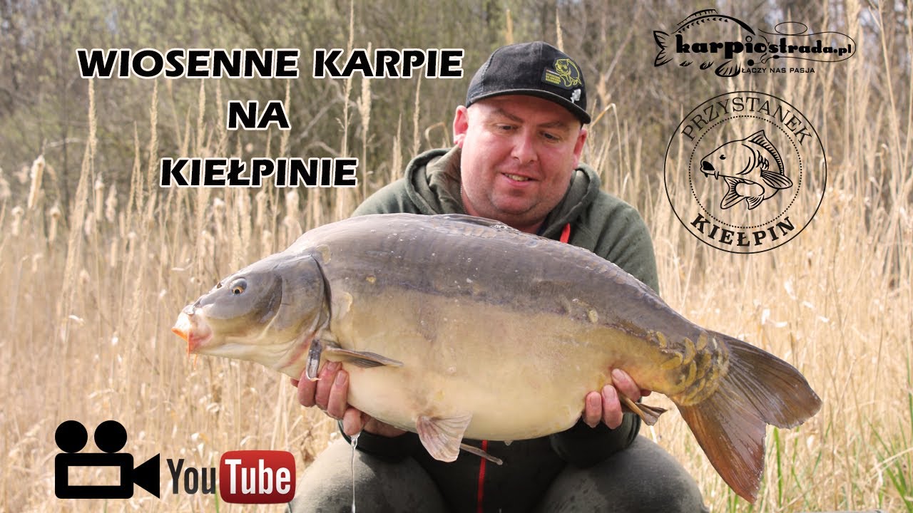 Wiosenne karpie na Kiełpinie