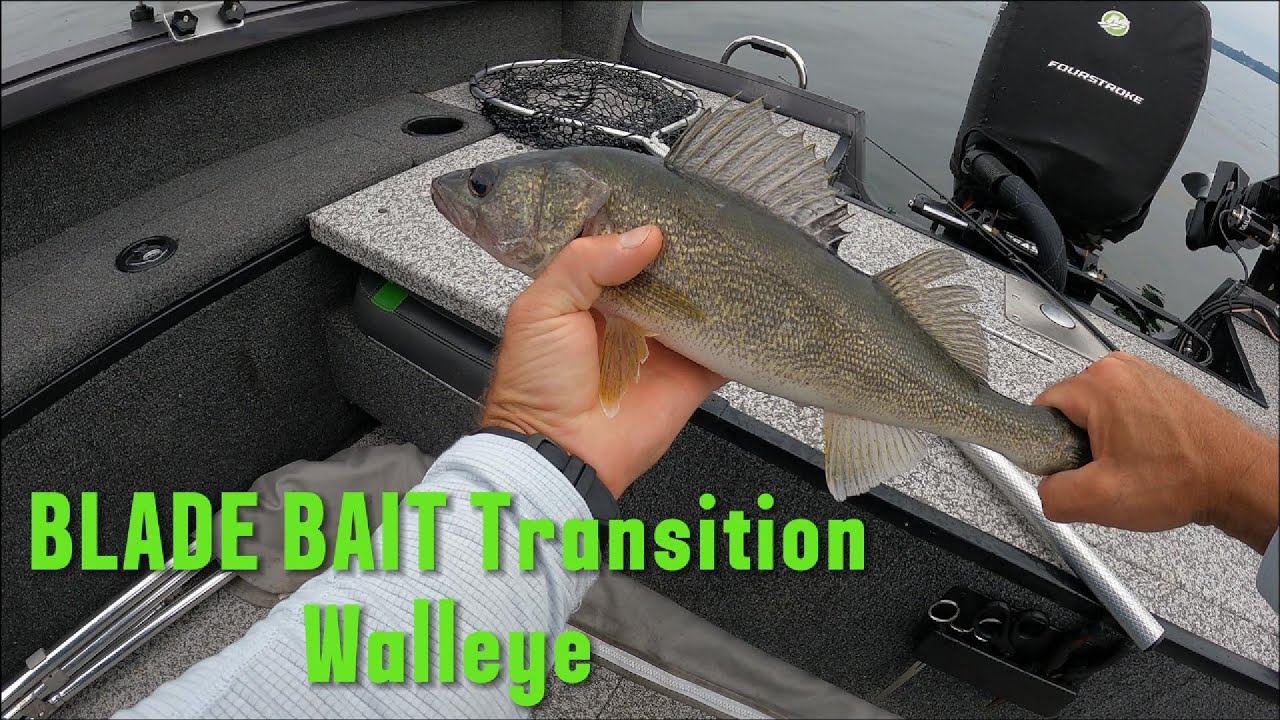 Oneida Lake, NY Chasing Transition Walleye
