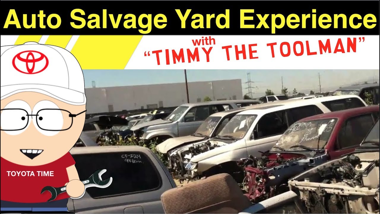 The Auto Salvage Yard Experience