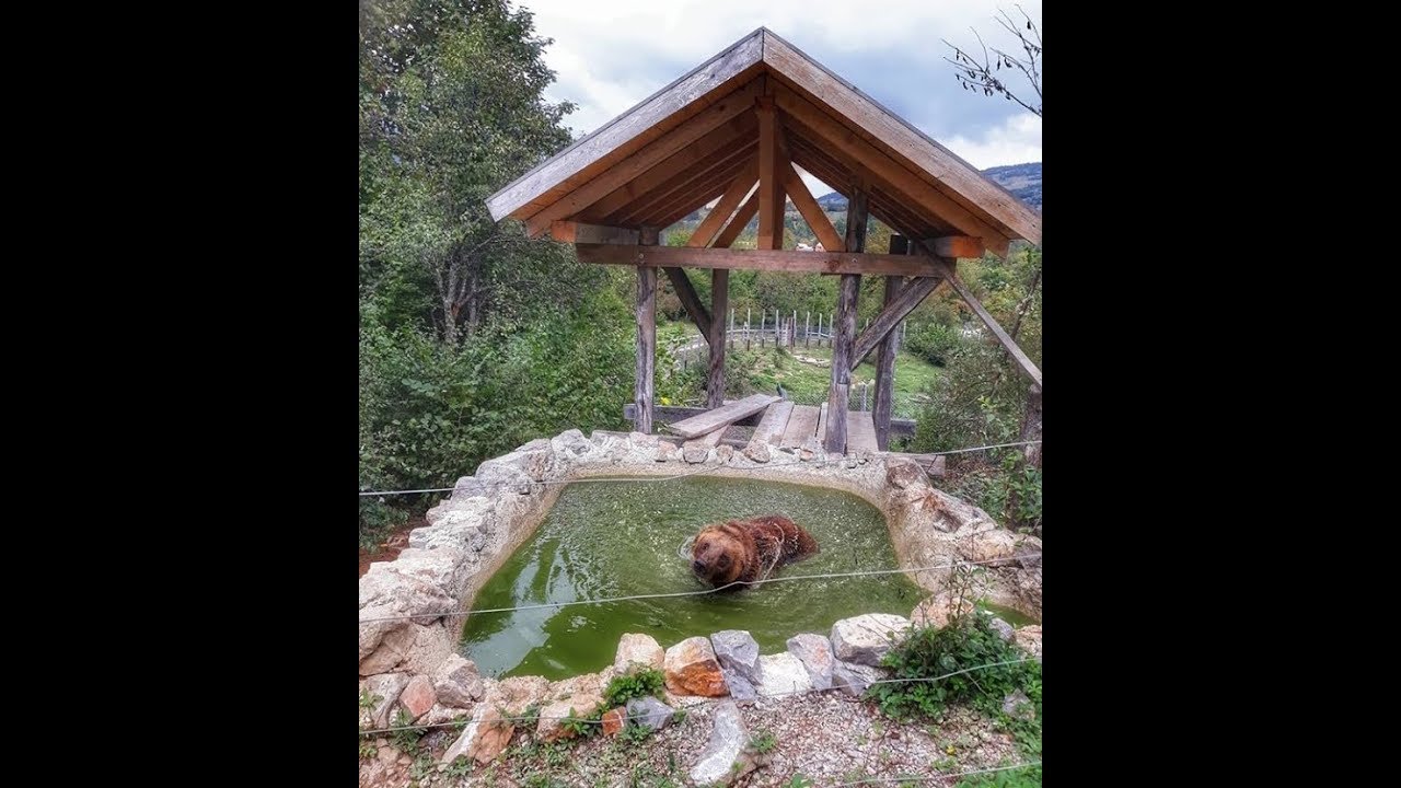 WHAT LINKS US TOGETHER #21: Find out what was an Englishman doing in Velebit mountain in Croatia