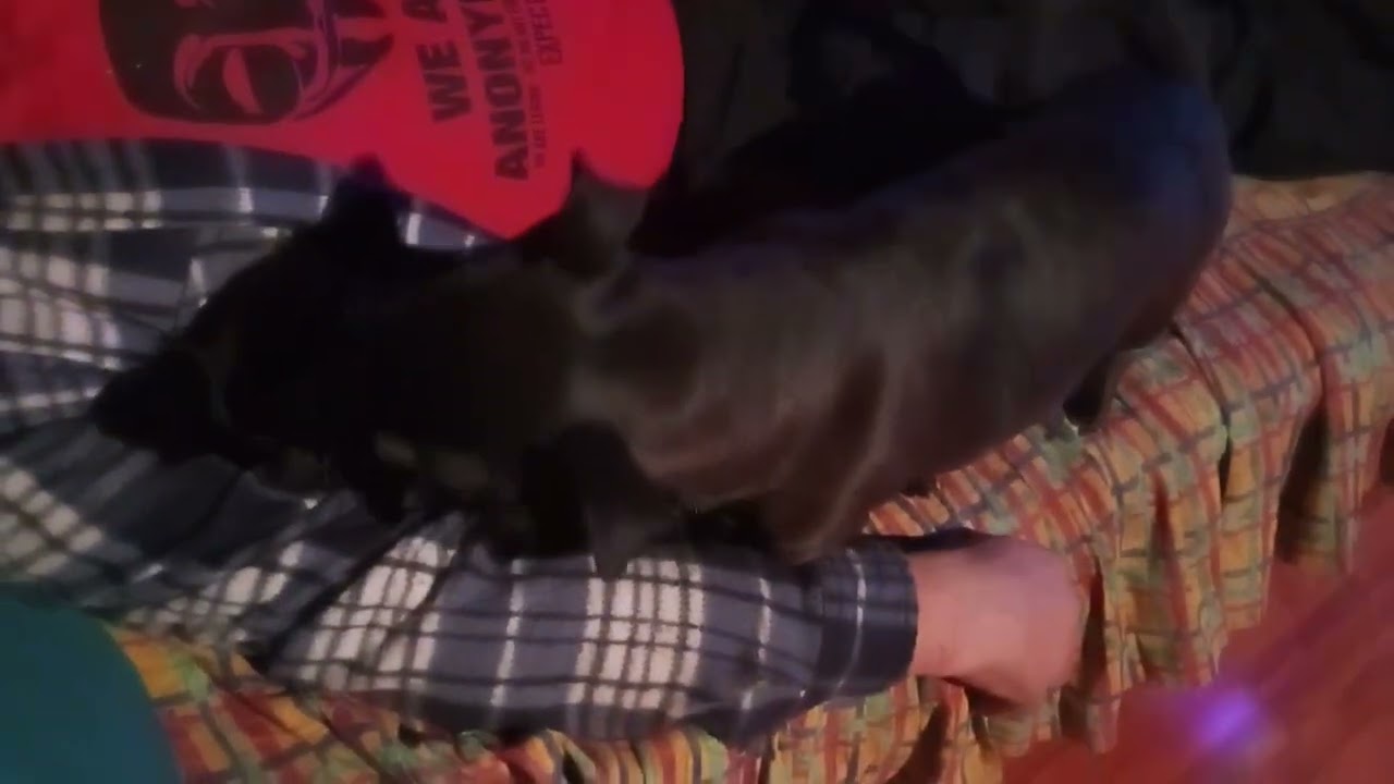 Ruxy and ruxy 
