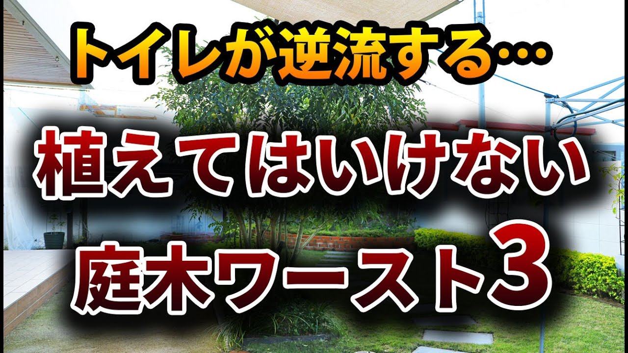 【植えてはいけない庭木ワースト3！】これを植えるとトイレが逆流する！？