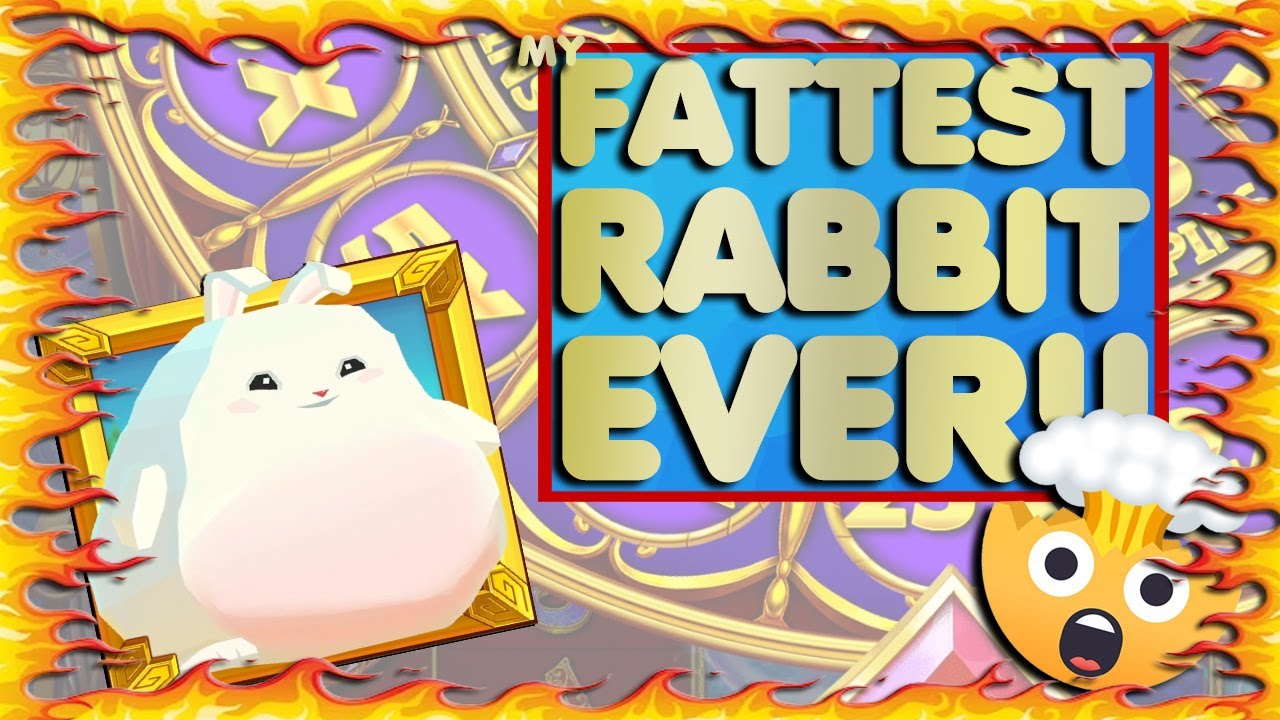My BIGGEST EVER Bonus Compilation!! 27 Slots 🤯🎰