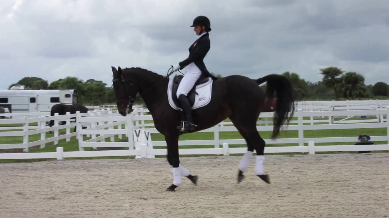 Natalia Martin FEI Freestyle Dressage Demo at BG Open House, 10/15/16