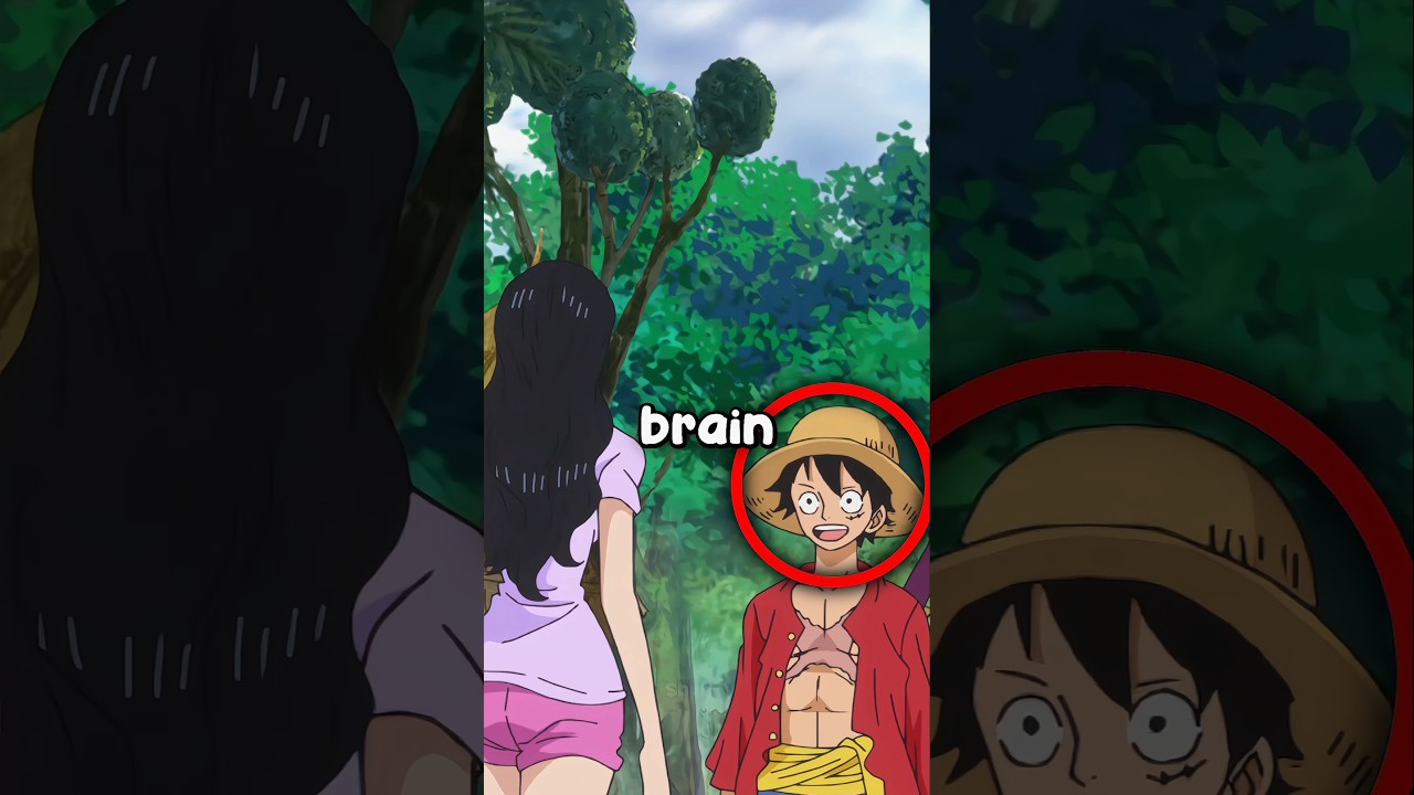 Nico Robin knows how Luffy's brain works 😭🙏