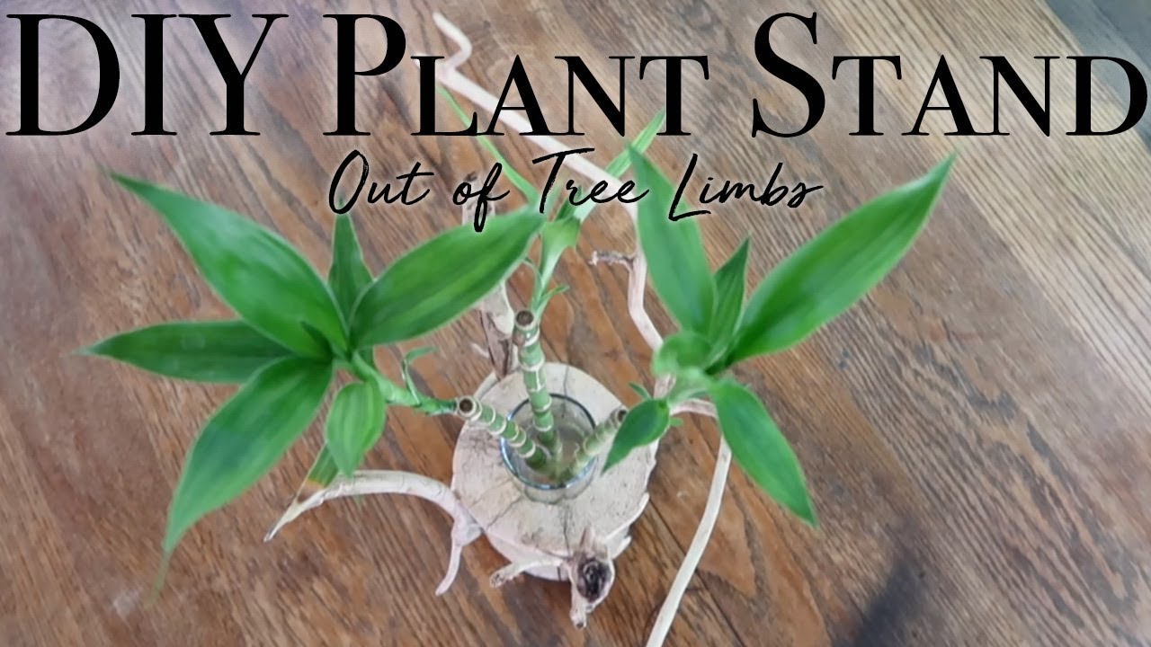 Relaxing Plant Stand DIY out of Tree Limbs | Using Nature for Home Decor