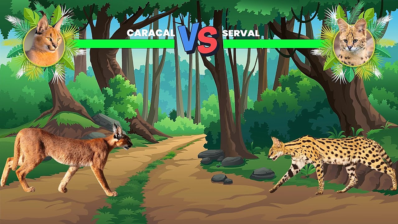 Caracal Vs Serval