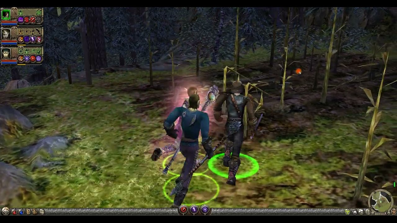 My Crazy Mods  Dungeon Siege 2