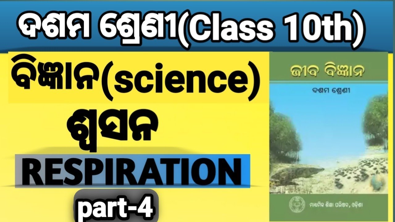 Class 10th science | Respiration chapter 2 in odia| 10th class science odia explain |part-4