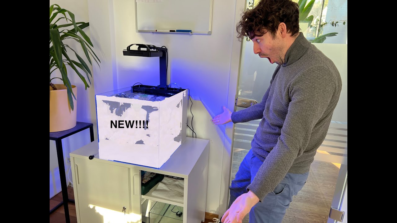 Neues Aquarium 🤩🤩🤩 Wir bauen ein 