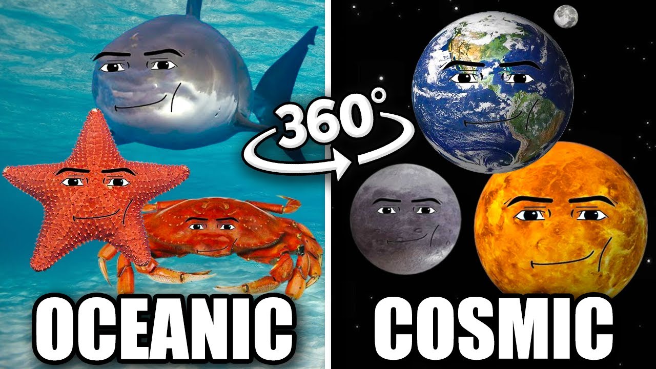Oceanic Gegagedigedagedago vs Cosmic Gegagedigedagedago | 360&ordm; VR
