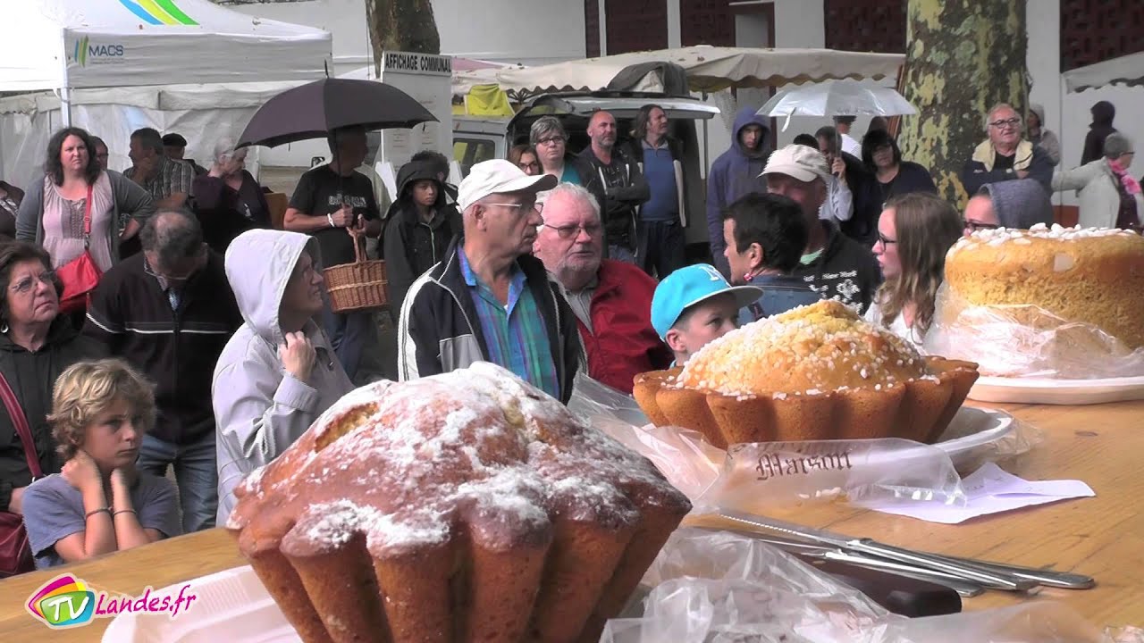 Journée des traditions Landaises à Tyrosse : concours de pastis Landais