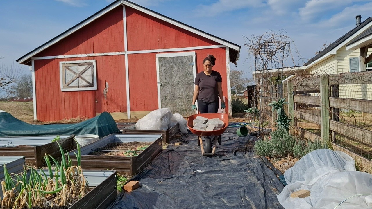 Winter Garden Cleanup & Soil Prep for Spring 🌱 Preparing My Zone 8 Garden 🌿
