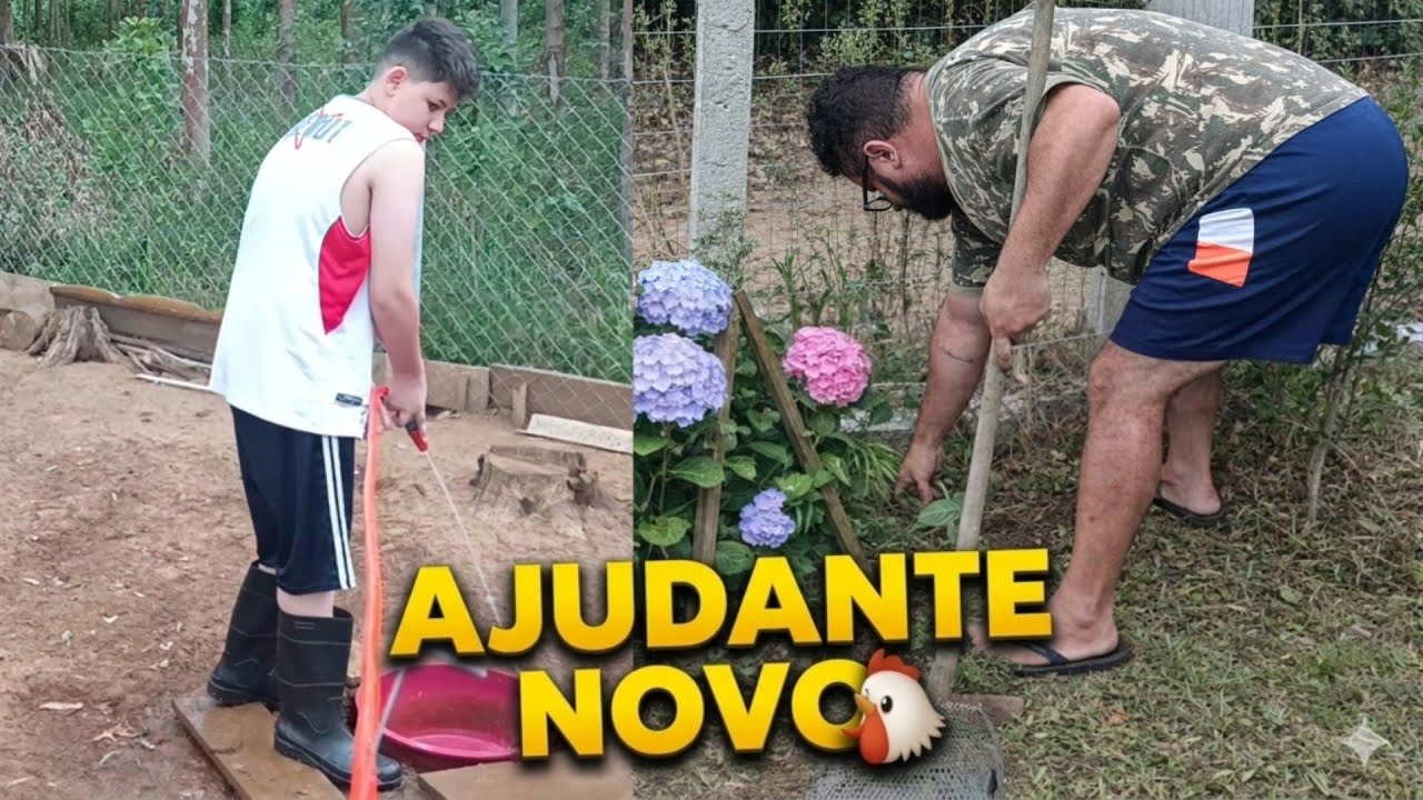 CONTRATEI um AJUDANTE NOVO pro Galinheiro! 🐔 | Limpeza nas Hortências 🪻