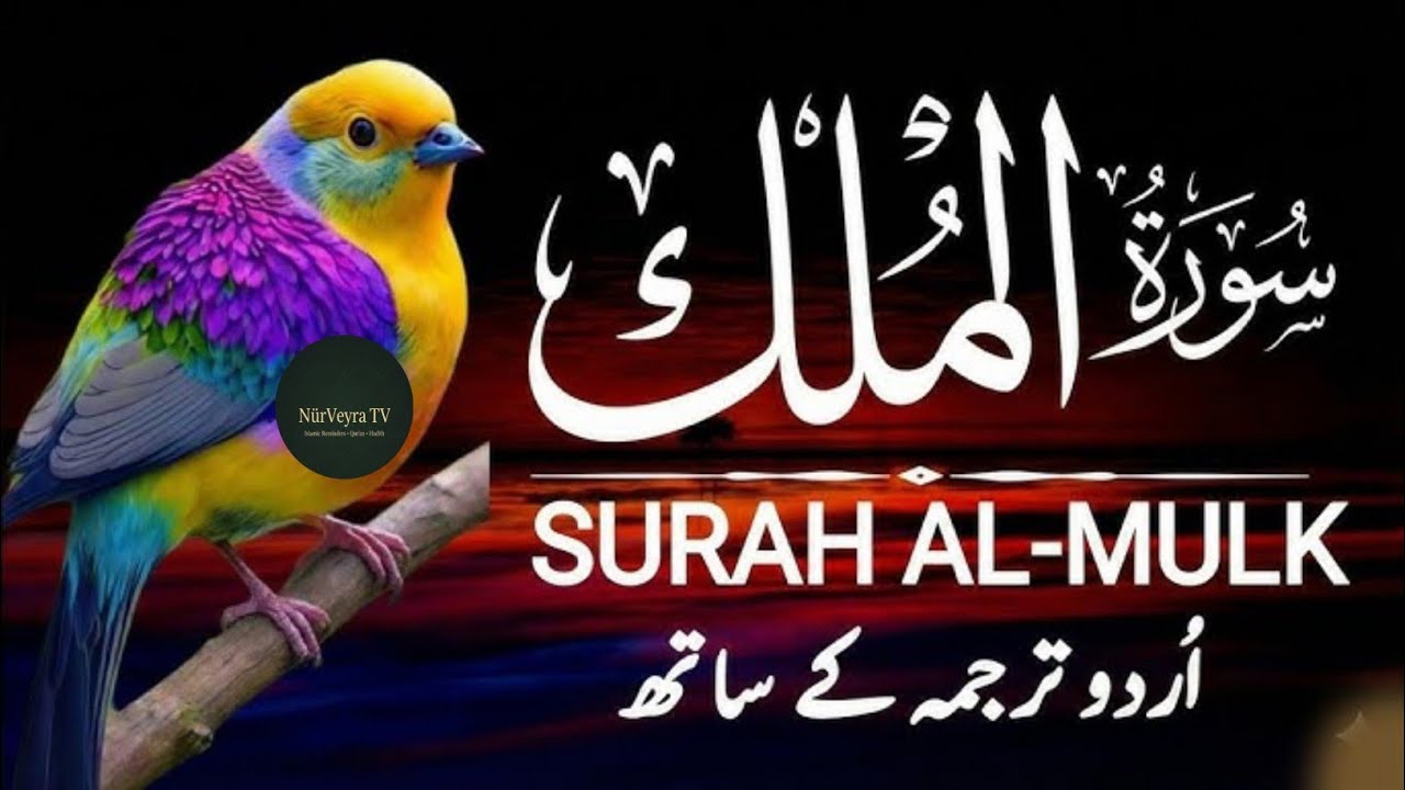 Surah Mulk | with Urdu Translation | Heart Touching Quran Beautiful Recitation 