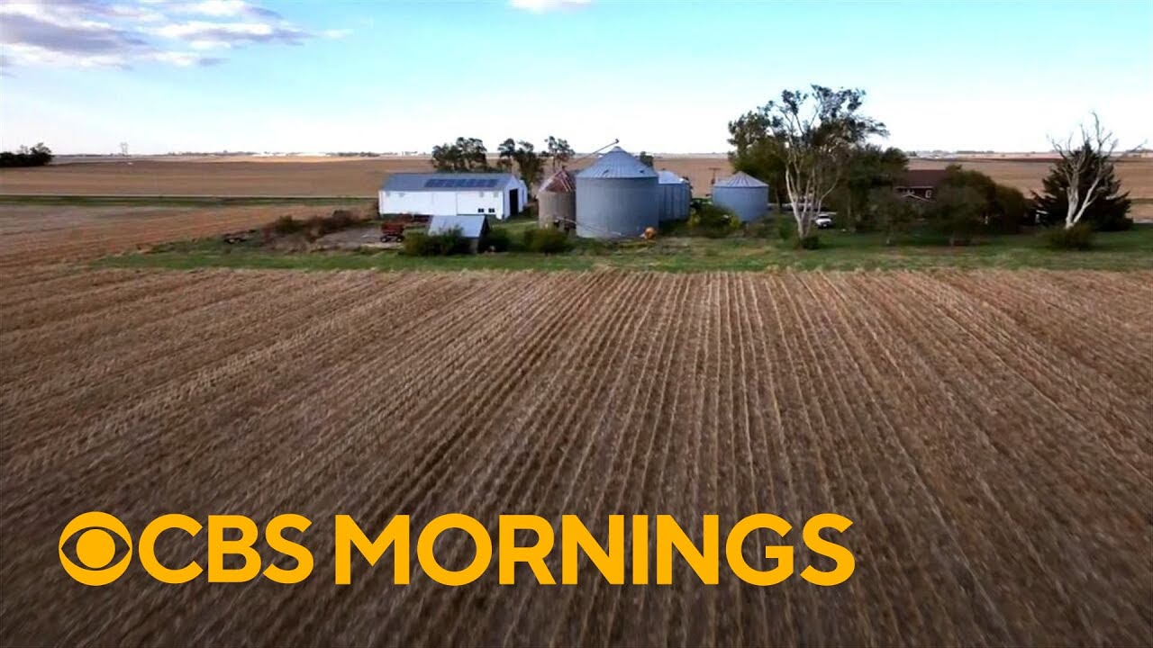 Farmers feel strain amid Trump's trade war: 