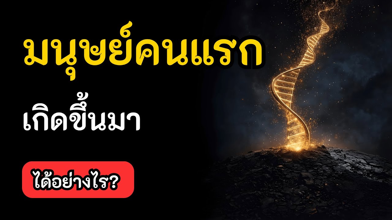 มนุษย์คนแรกเกิดขึ้นมาได้อย่างไร? | จักรวาลใกล้ตัว by แบงค์