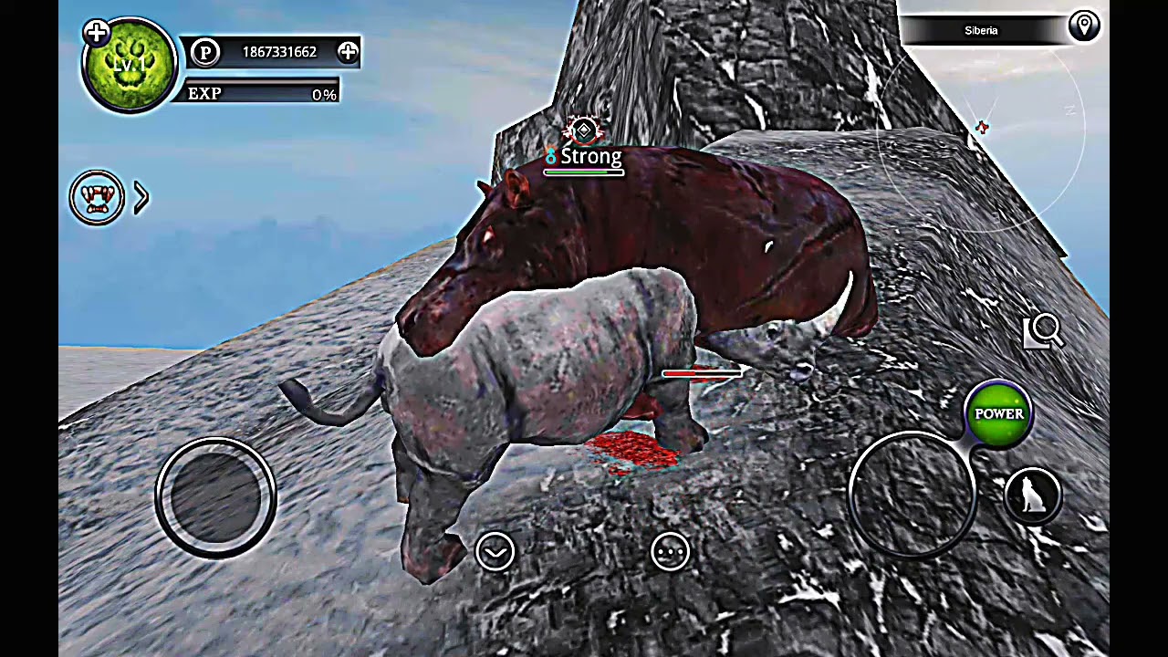 Wild Animals Online | Rhinoceros vs Zombie Hippopotamus😱💪👑🔥/👑😎 Strong #wildanimalsonline #game