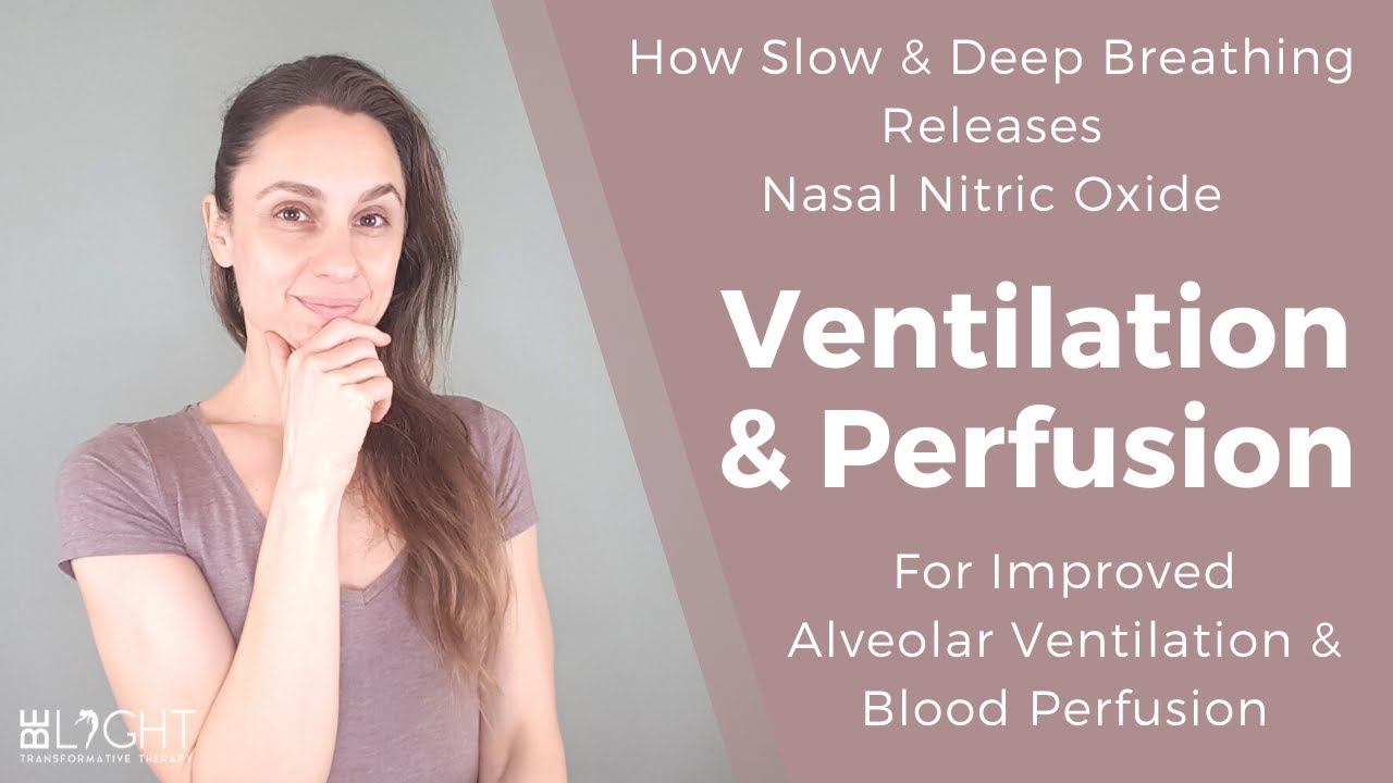 How Slow & Deep Breathing Releases Nitric Oxide for Improved Alveolar Ventilation & Blood Perfusion