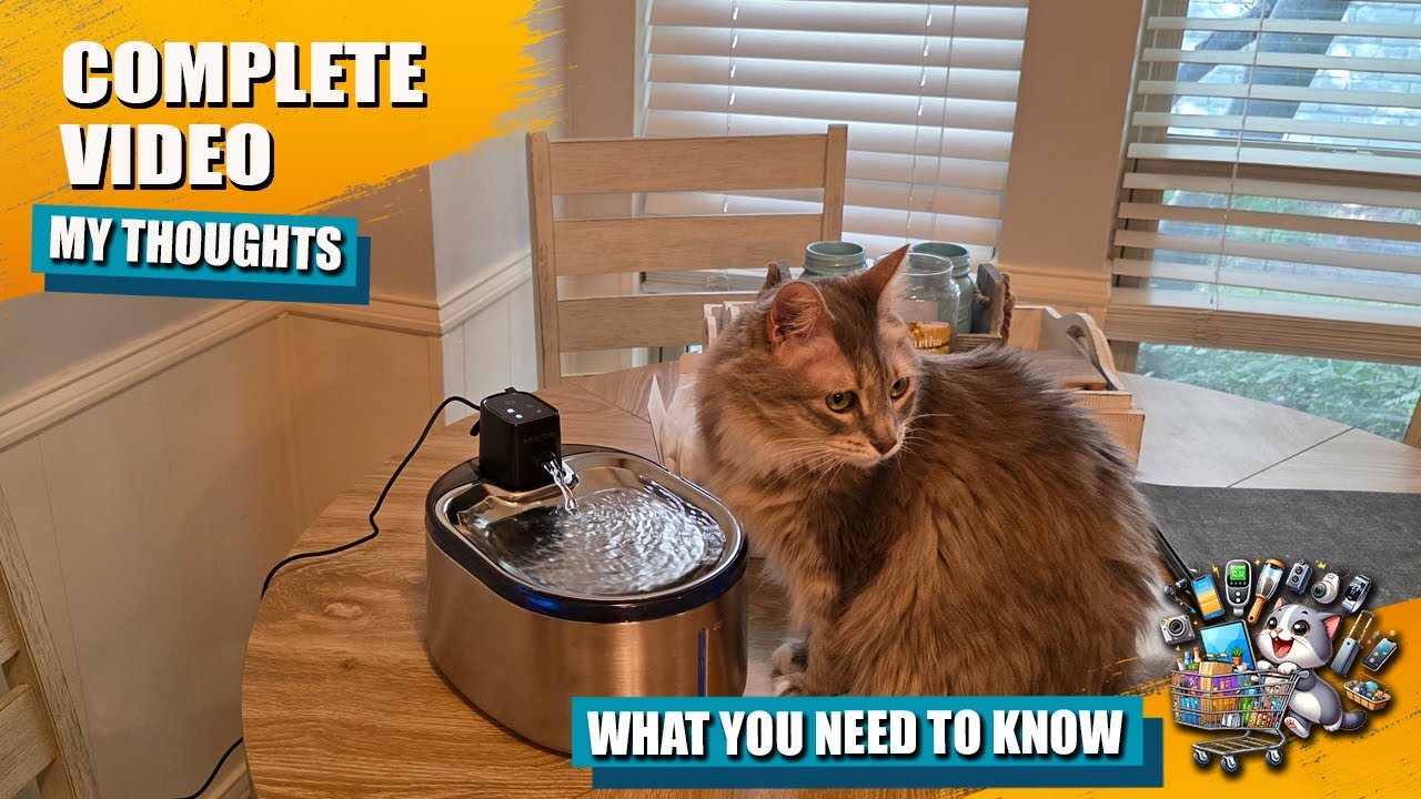 Smartoo Cat Fountain Review &ndash; 60‑Day Battery & Motion Sensor Tested