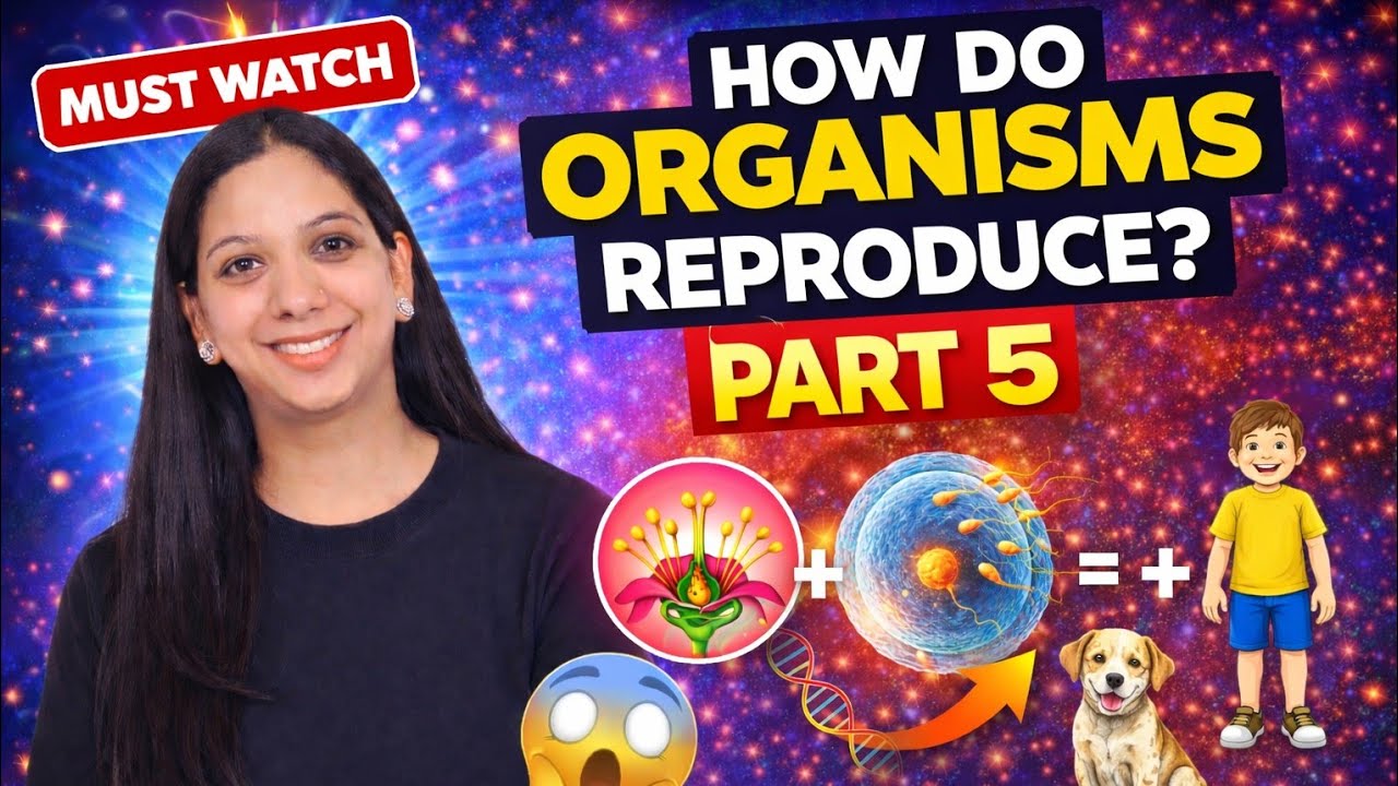 Propagation by plant tissue culture 