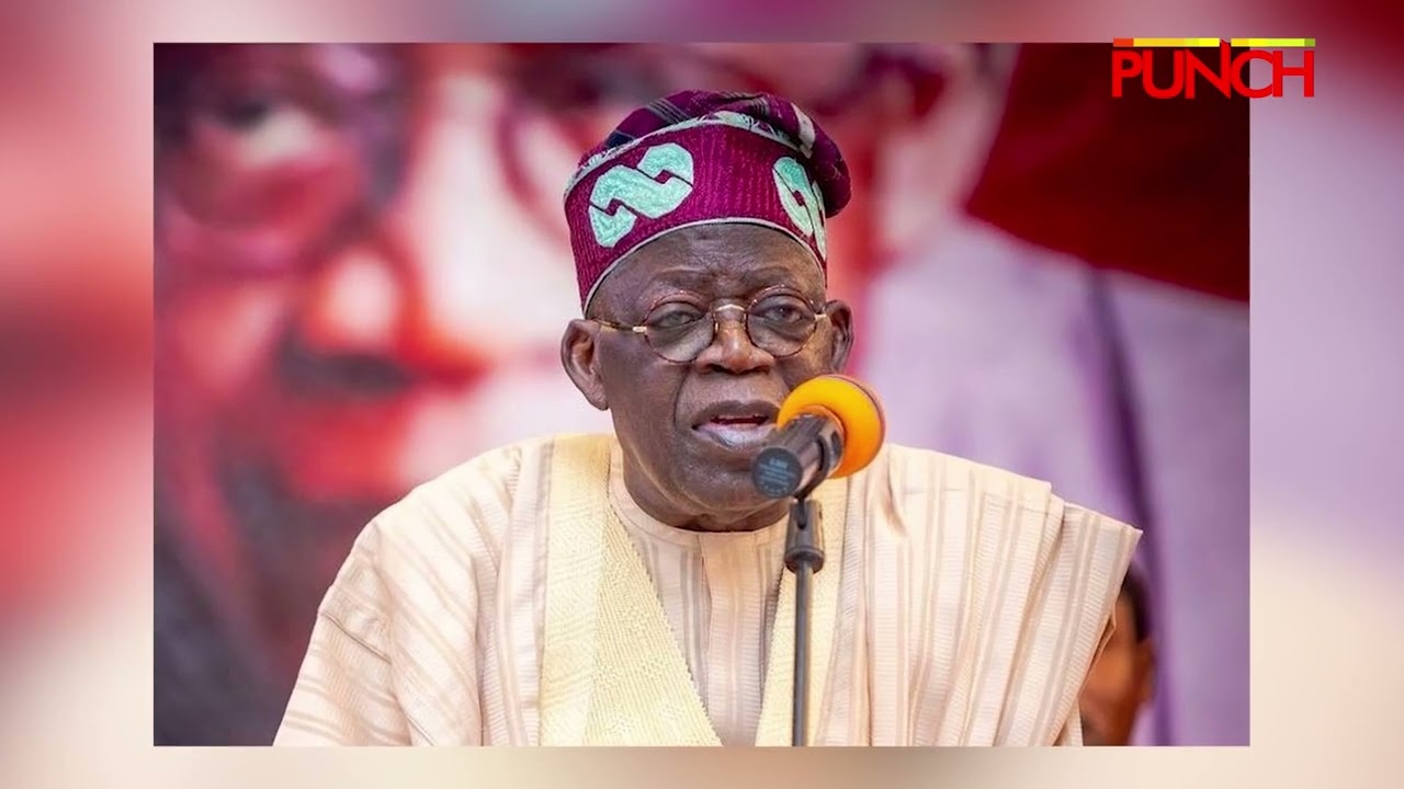 PUNCH Exclusive: Between Governance And Democracy - Prof Kila&rsquo;s Take On Tinubu&rsquo;s Midterm in Office