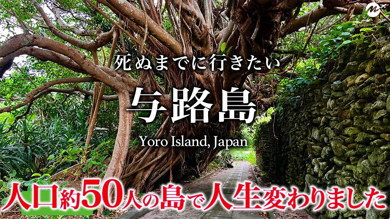 【教えたくない】与路島ひとり旅。奄美大島最南端の有人島が最高すぎた！まさにタイムスリップの世界【鹿児島・奄美群島・離島・旅行・観光】