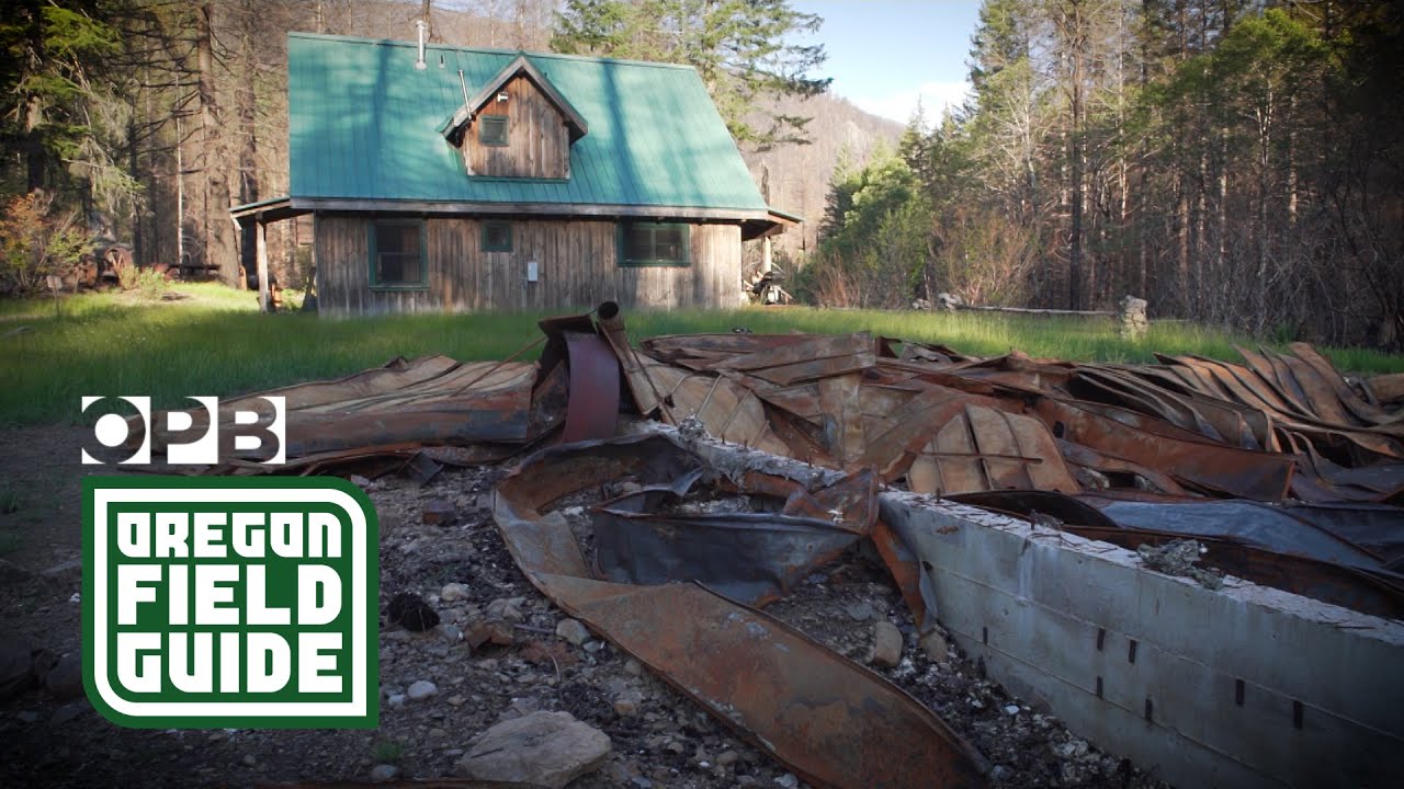 What Opal Creek Wilderness looks like after the Beachie Creek Fire | Oregon Field Guide