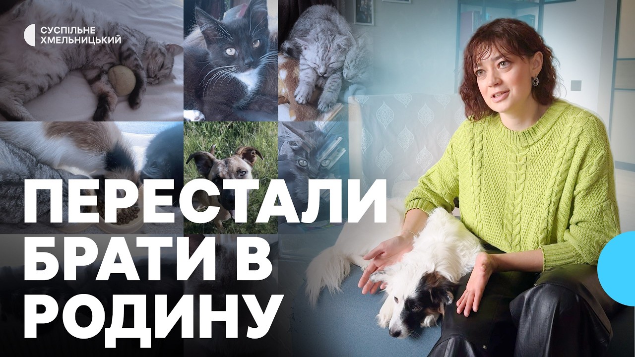 Хмельницька родина взяла евакуйовану собаку з Херсонщини