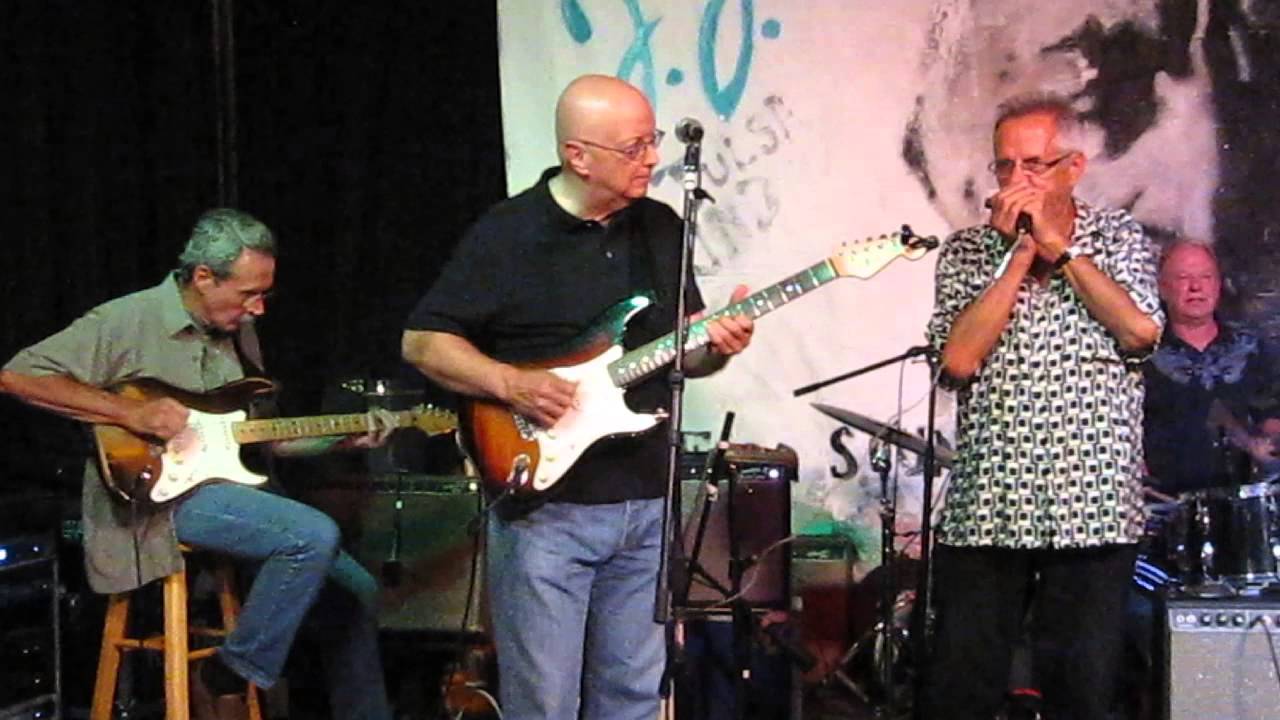 Don White & Friends - 