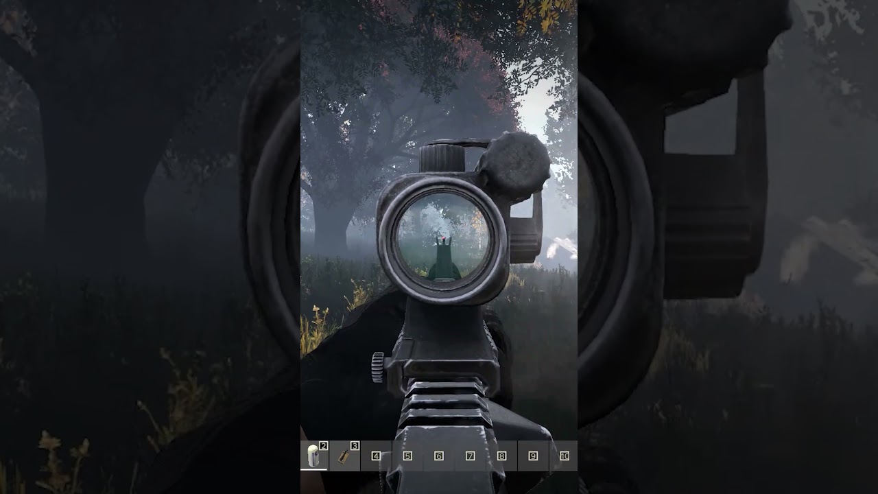 Они боролись за жизнь как могли. DayZ @n0stress