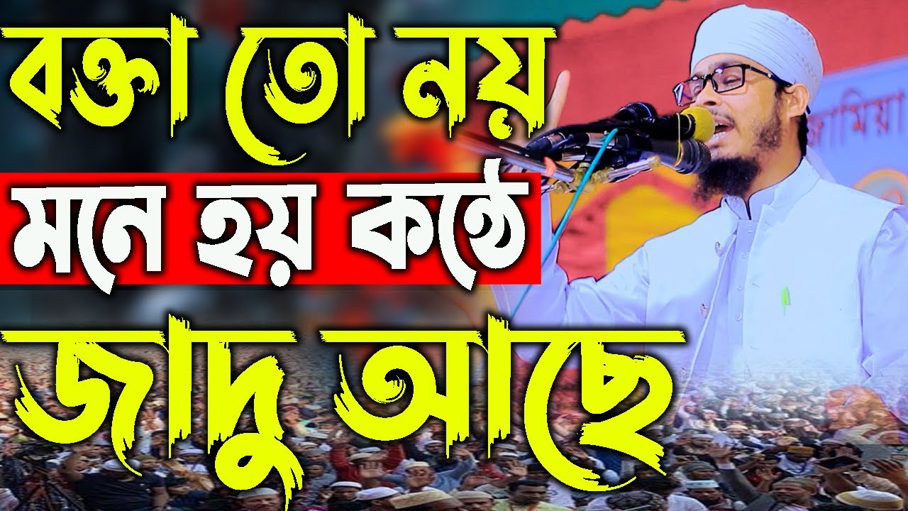 বক্তা তো নয়,মনে হয় কন্ঠে জাদু আছে,মাওলানা বজলুর রহমান মিজান