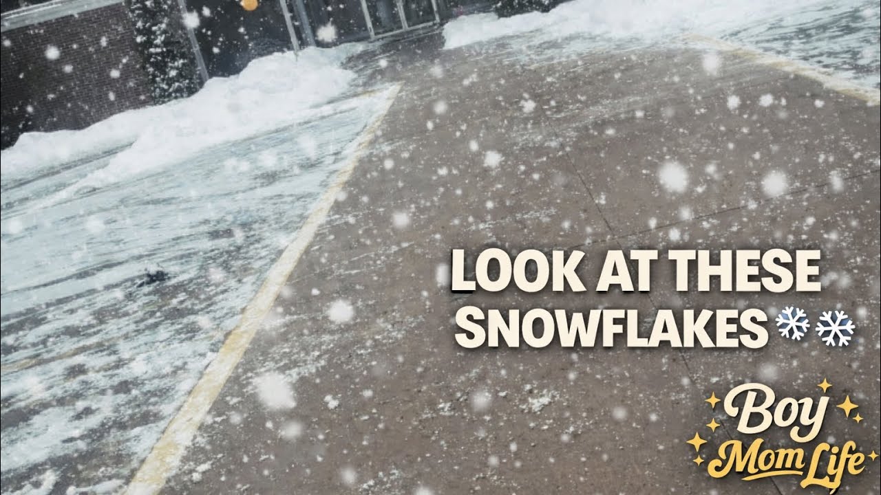The Snowflakes Were So Big Today I Had to Stop and Notice ❄️🤍 | Boy Mom Life Daily Vlogs