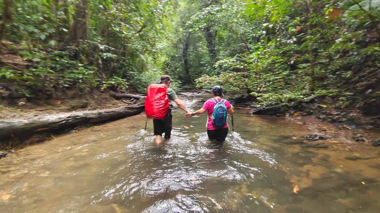 Brunei Hiking trail. The Green Jewel of Brunei