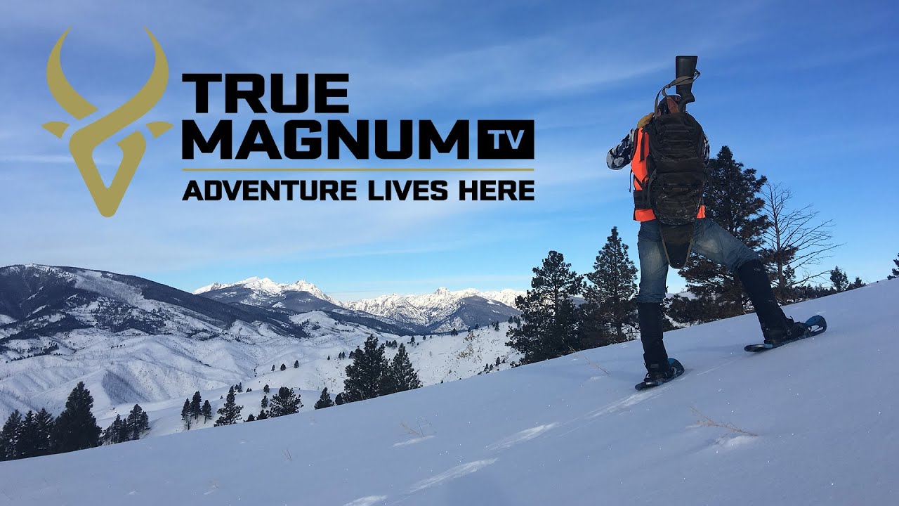 True Magnum TV S4E1, It Begins