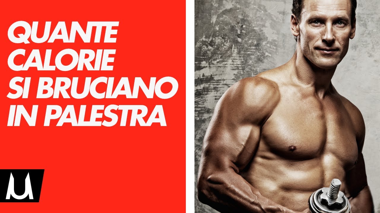 Quante calorie si bruciano in un ora di palestra