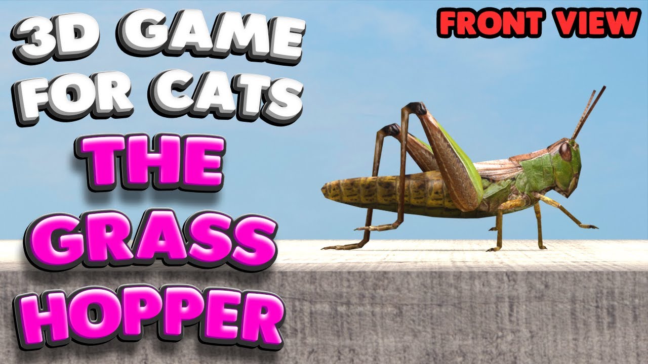3D-Spiel f&uuml;r Katzen | Fange die Heuschrecke (Vorderansicht) | 4K, 60 fps, Stereoton