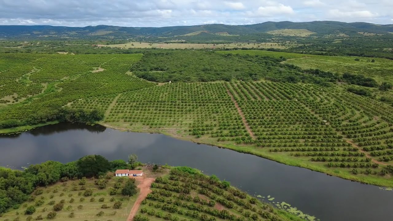 Fazenda Santa Clara - Reserva 1