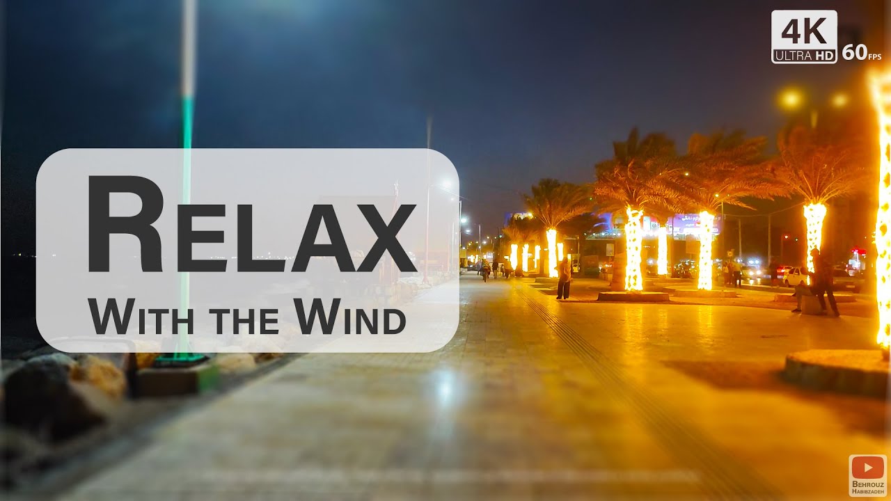 Let the Wind Take Away Your Stress | Mind Relaxation by the Sea