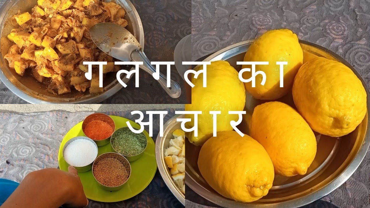 आज बनाया गलगल का आचार || गलगल का स्वादिष्ट आचार