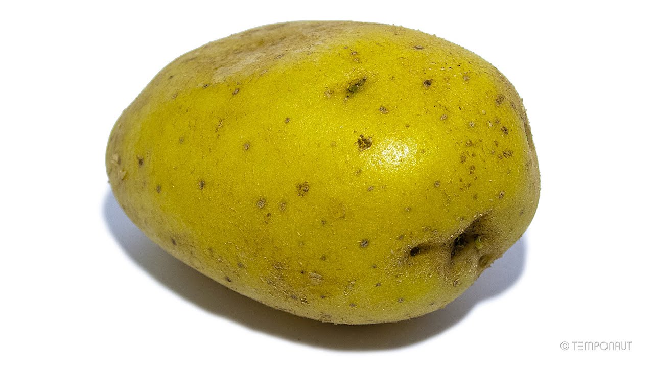 Potato Timelapse