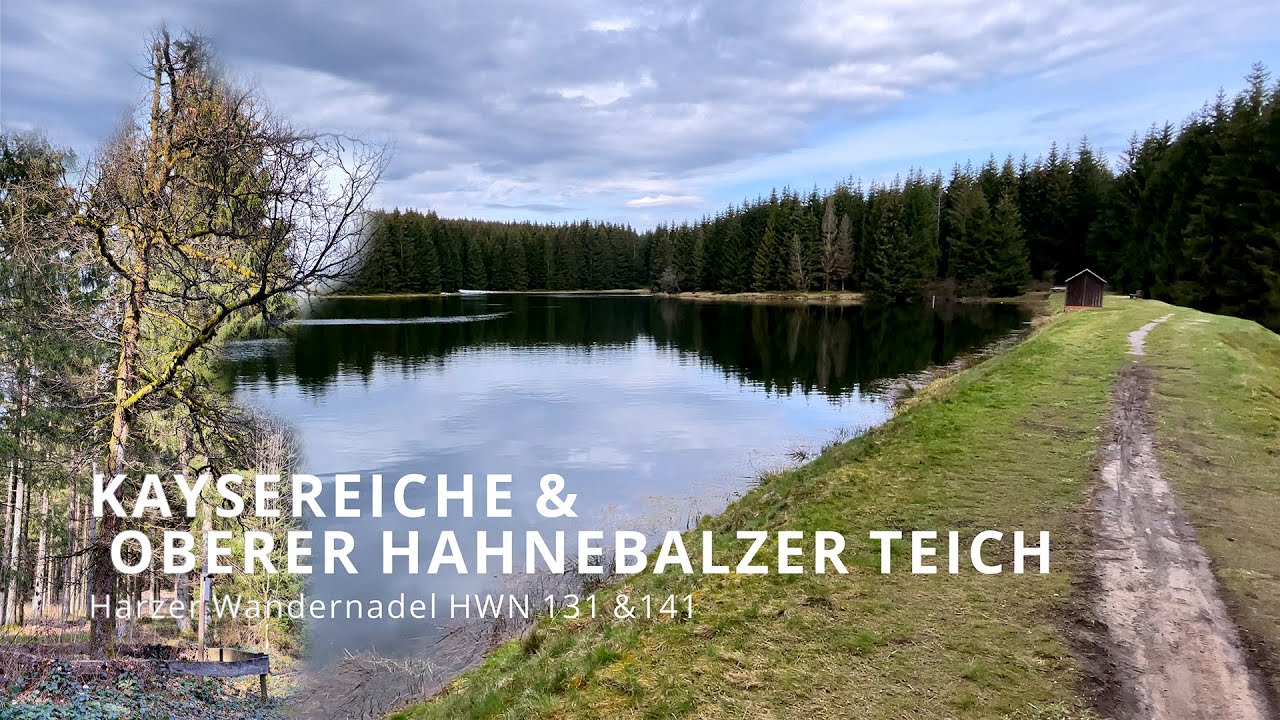 Harzer Wandernadel HWN 131 Kaysereiche + HWN 141 Hahnebalzer Teich [4k]