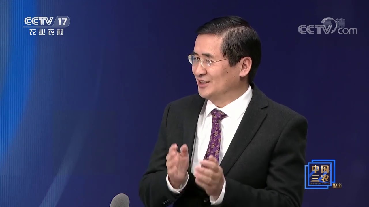 《中国三农报道》 20210103 特别节目|CCTV农业