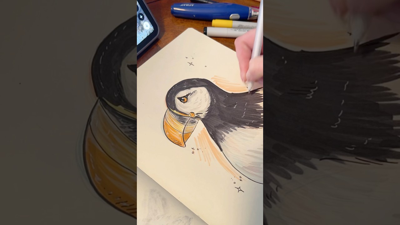 Doodling a Puffin 🌟 #art #drawing #doodle