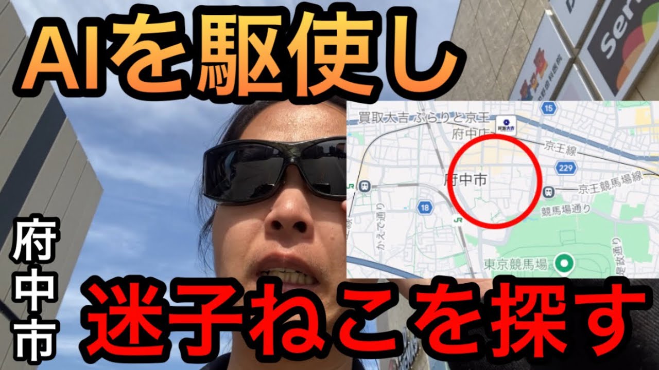 迷い猫をAIを使い探す試み…果たして…【東京都府中市】