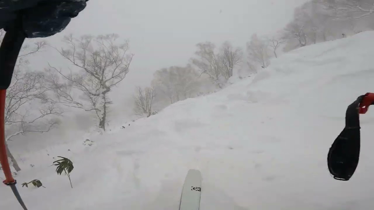 202601 04 Day 12 - Japow Sking G7 Niseko Annupuri