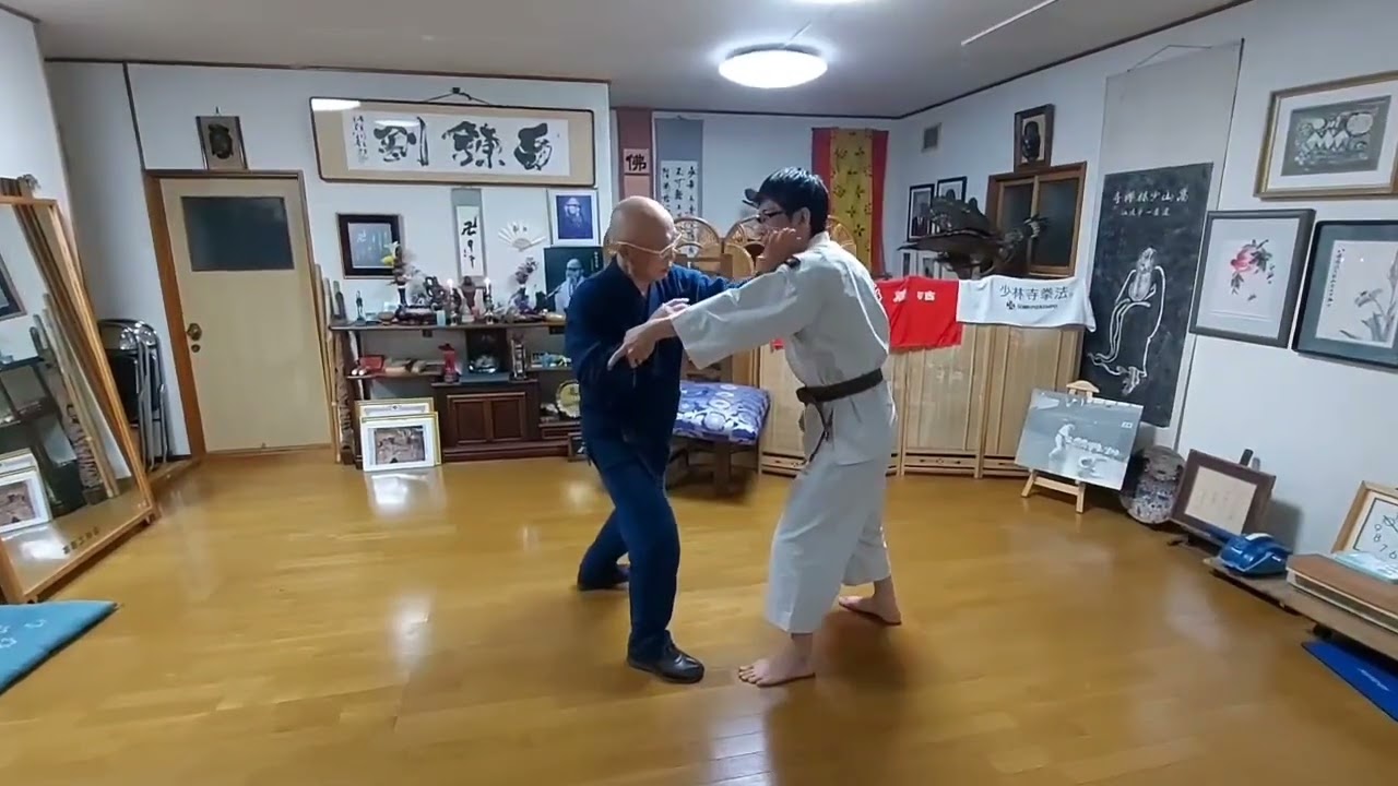 2.両手送小手 Ryote Okuri Gote 少林寺拳法 Shorinji Kempo