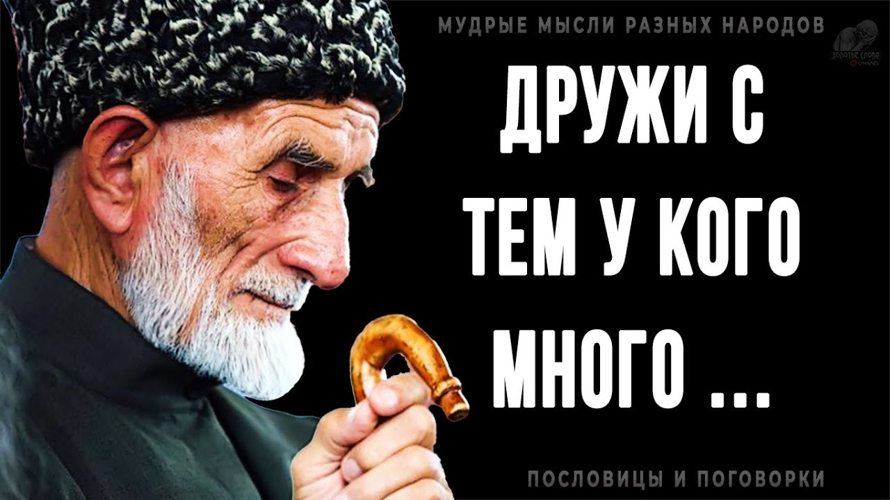 Мудрые мысли Разных Народов, которые решат 90% ваших жизненных проблем! Пословицы и поговрки