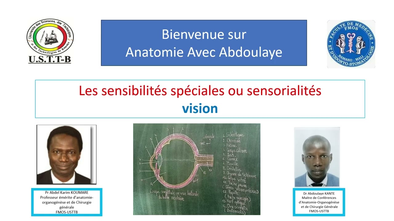 la vision
