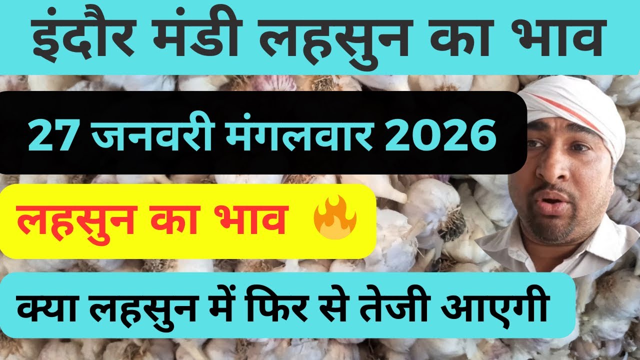 indore mandi lahsun ka bhav          #lahsunaajkabhav  #garlicpricetoday 